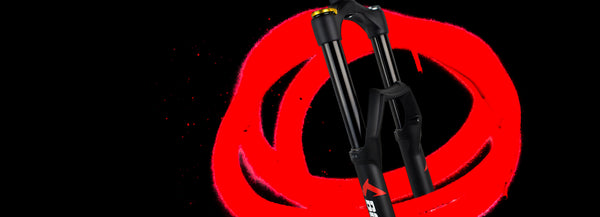BFCM 2023